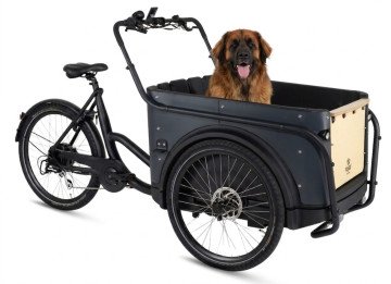 Royal Cargo Bike 3W Eco Dog - antraciet - elektrische driewieler bakfiets