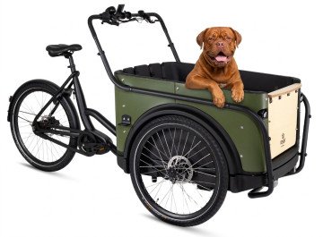Royal Cargo Bike 3W Premium Dog - groen - elektrische driewieler bakfiets