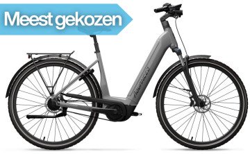Advanced Tour Pro Wave - Belt - stone grey - elektrische damesfiets