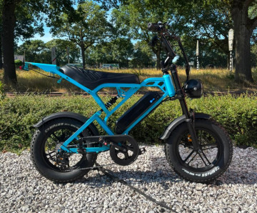 v20 mini fatbike