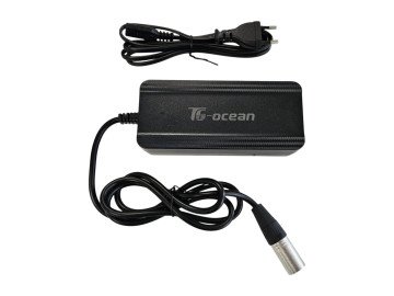 Accu oplader 36V / 2.0Ah 5 pin (113-3-c) 