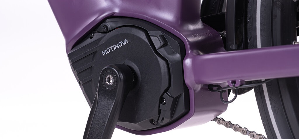 Levit Beleco RD lowstep 2026 - bordeaux - elektrische damesfiets middenmotor