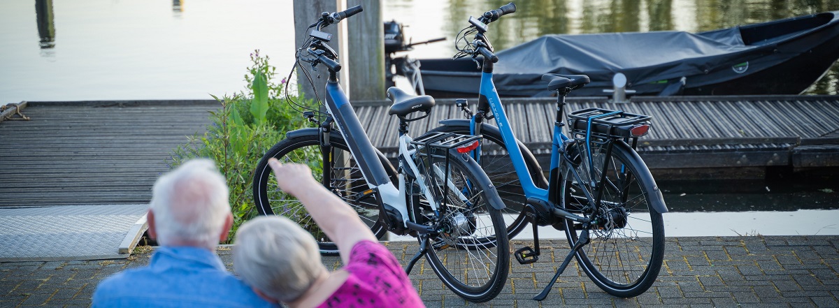 uitzondering verfrommeld waar dan ook Elektrische Fiets kopen | Scherpe prijzen | Fietsoptimaal.nl