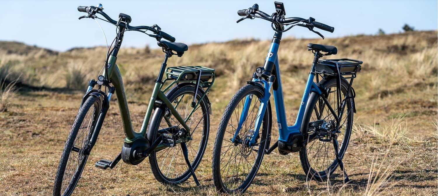 elektrische damesfiets